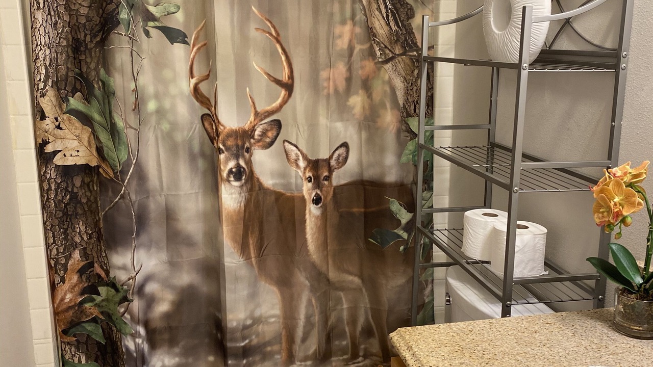 Photo of Bathroom in Greenbank