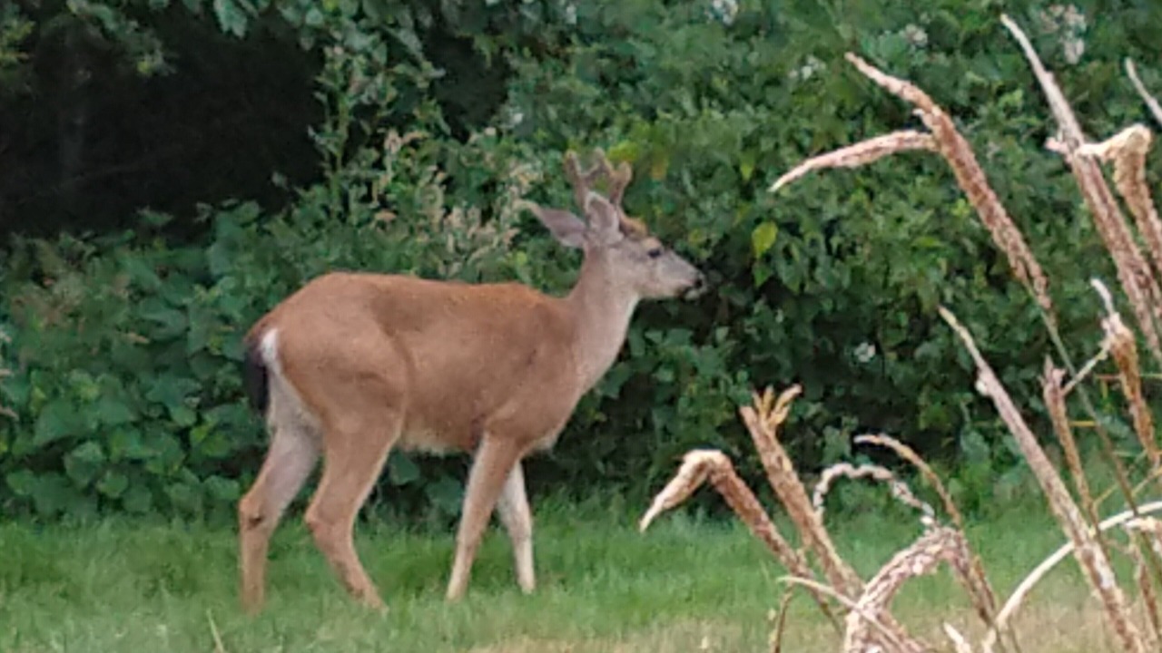 Photo of Outdoor in Greenbank