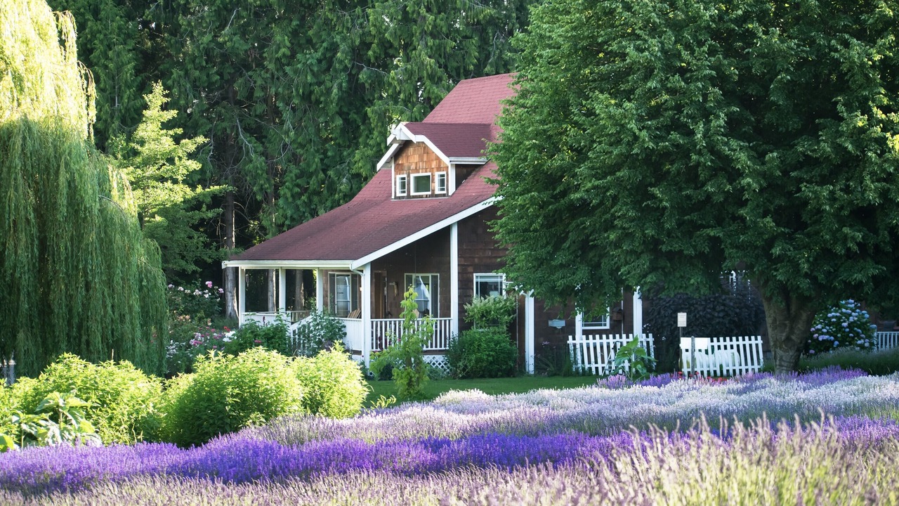 Photo of Others in Sequim