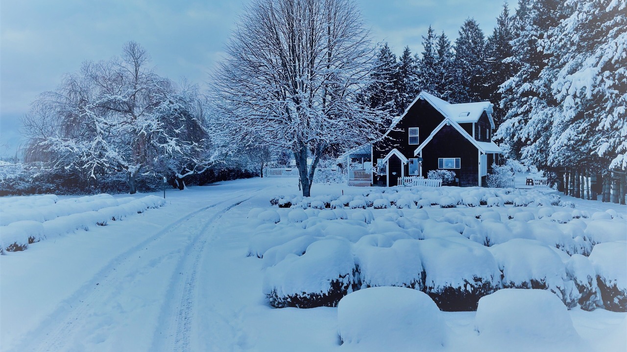 Photo of Others in Sequim