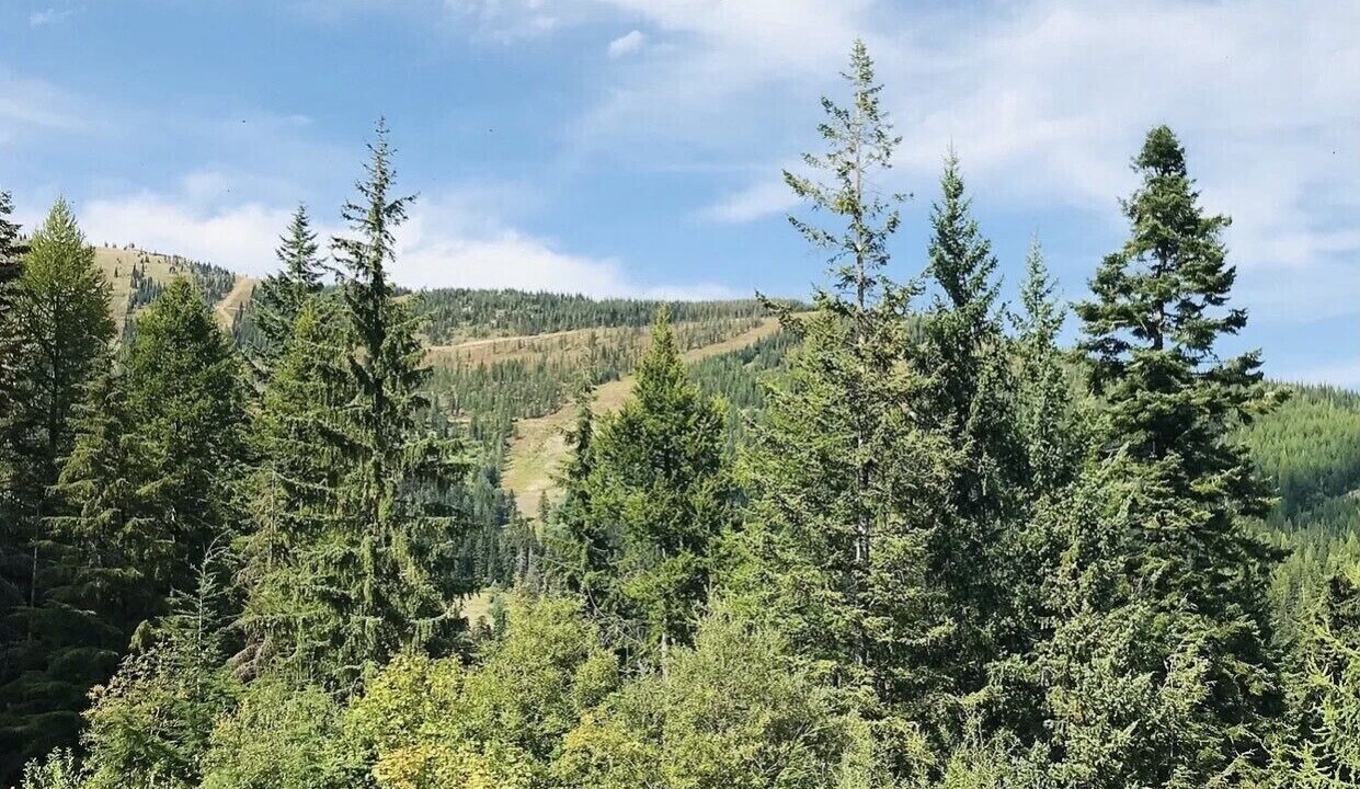 Photo of Outdoor in Sandpoint