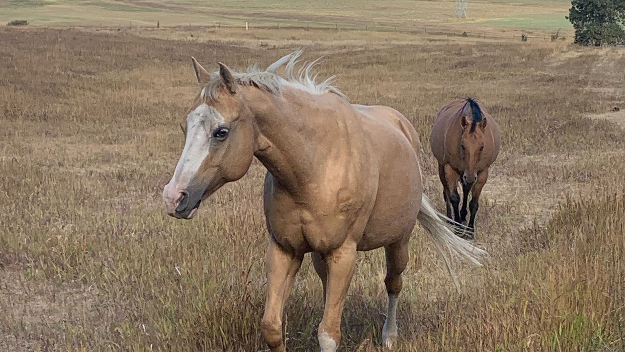 Photo of Others in Cle Elum