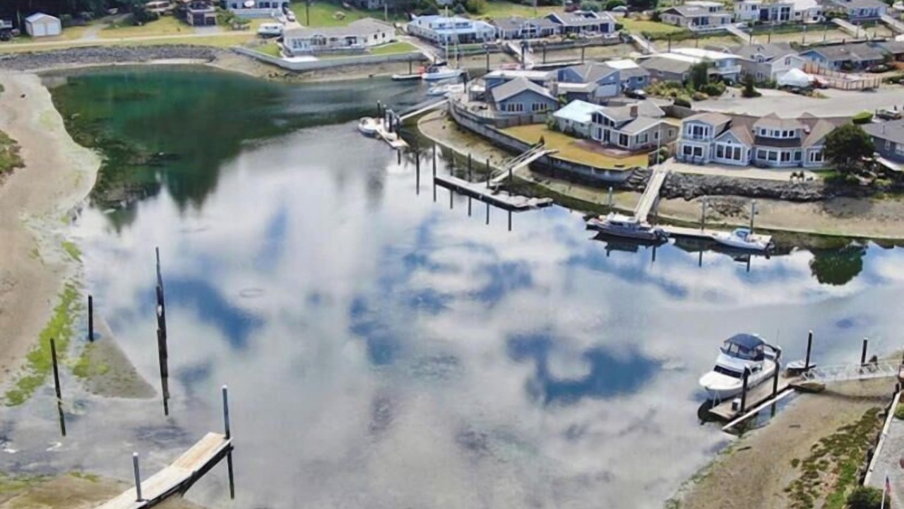 Photo of Others in Lagoon Point