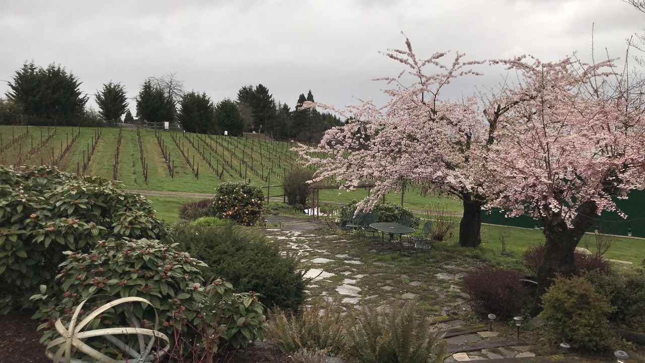 Photo of Outdoor in Newberg