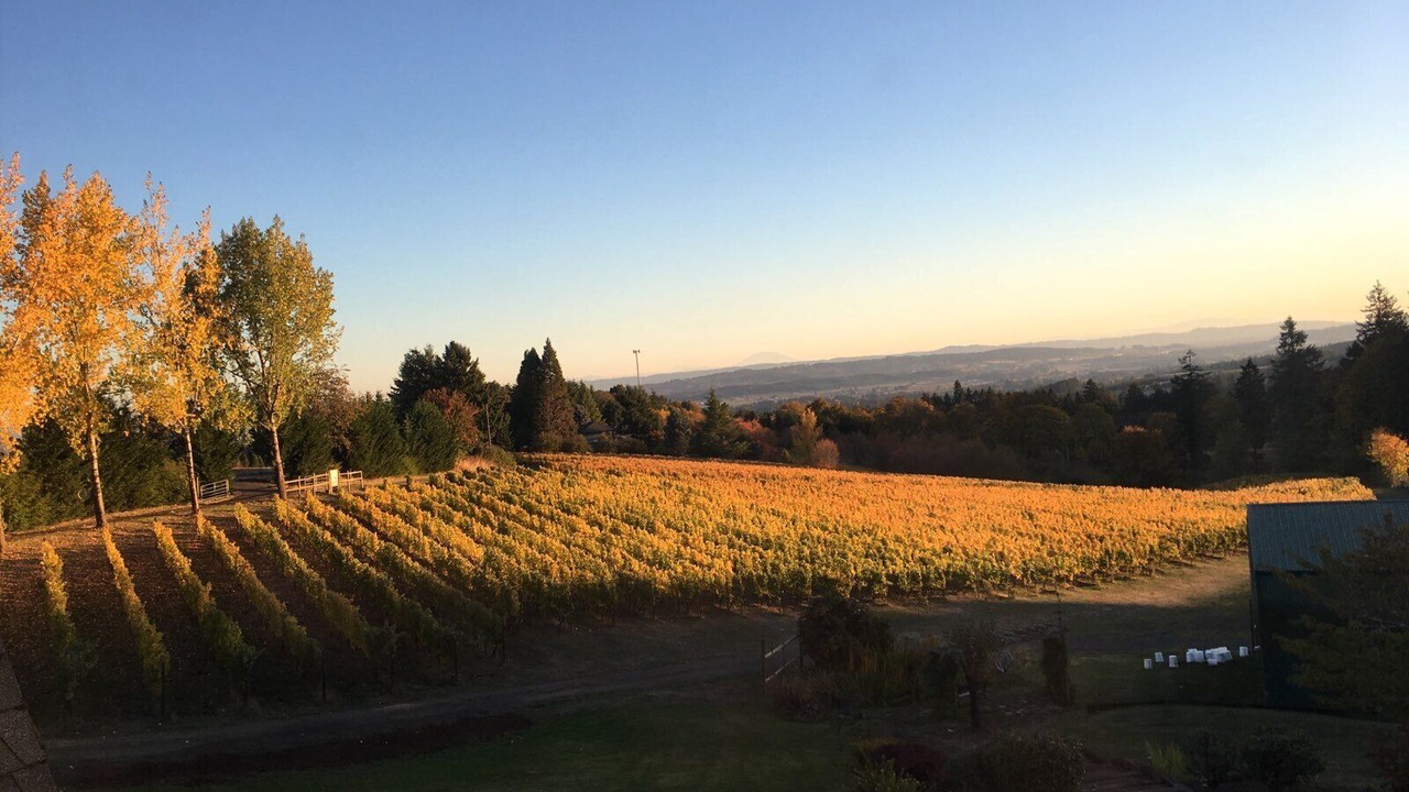 Photo of Outdoor in Newberg