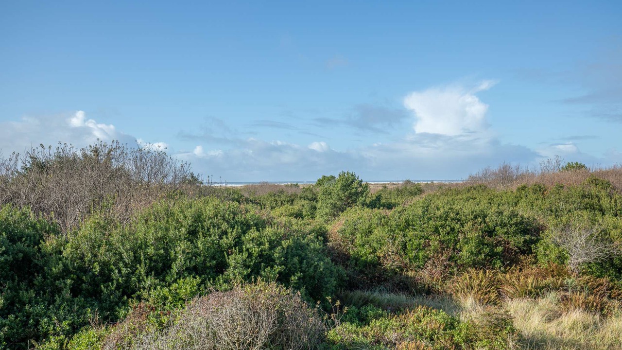 Photo of Outdoor in Ocean Shores