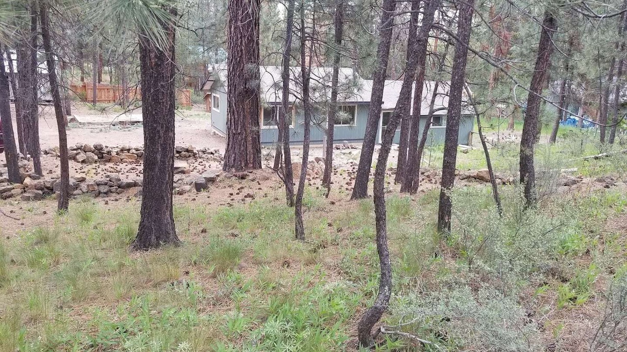 Photo of Bedroom in Three Rivers