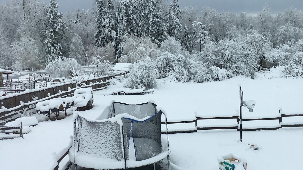 Photo of Outdoor in Spanaway