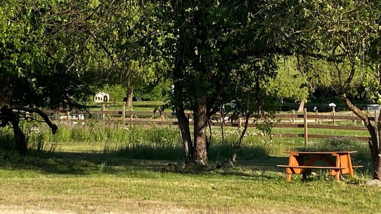 Photo of Outdoor in Spanaway