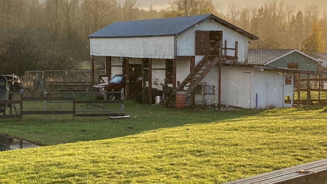 Photo of Outdoor in Spanaway