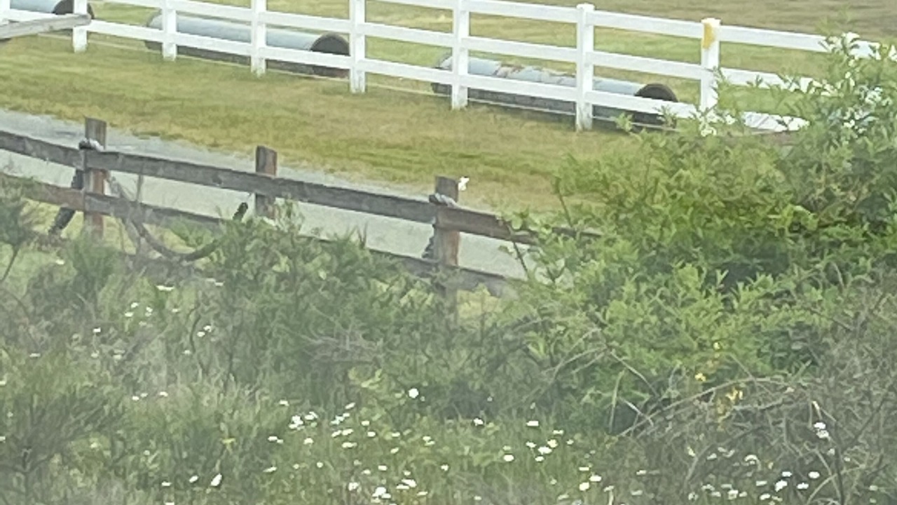 Photo of Others in Spanaway
