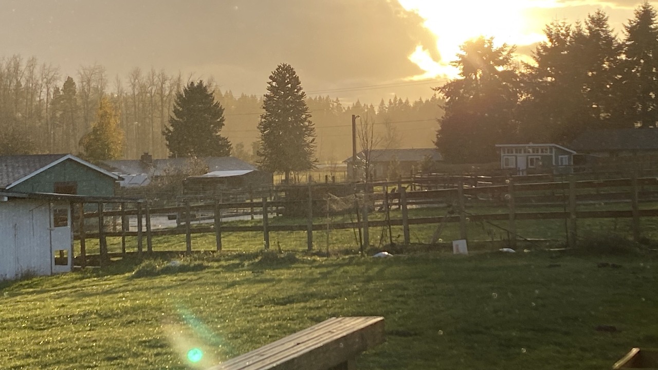 Photo of Outdoor in Spanaway