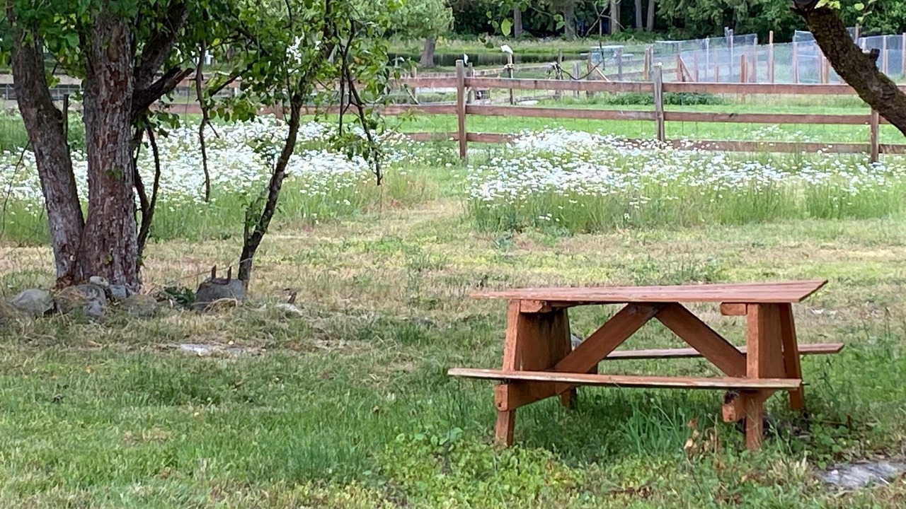 Photo of Outdoor in Spanaway