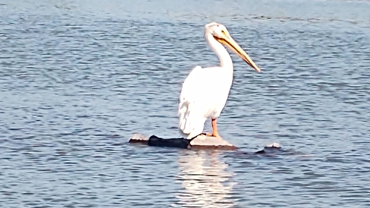 Photo of Others in Downtown Klamath Falls