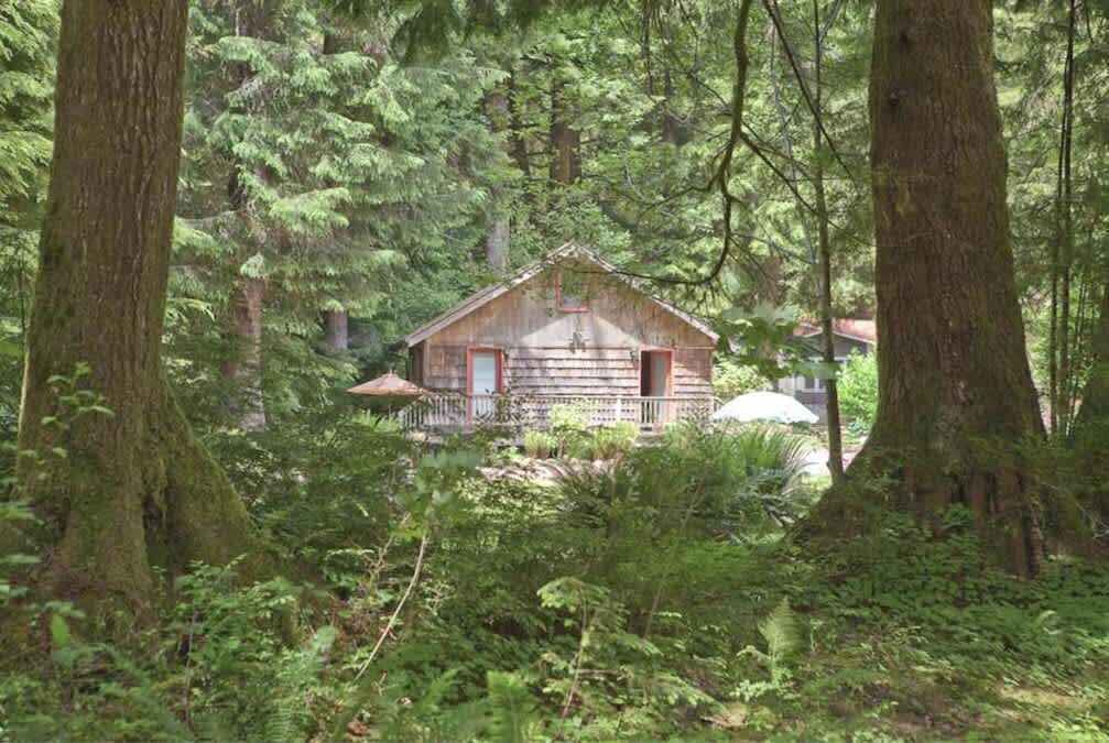 Photo of Outdoor in Forks
