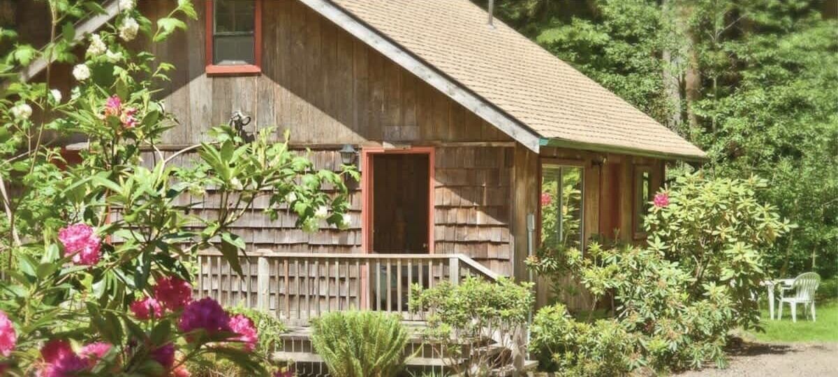 Photo of Outdoor in Forks