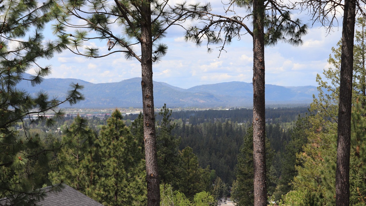 Photo of Others in Hayden View Estates
