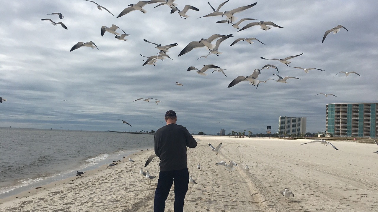 Photo of Others in Biloxi