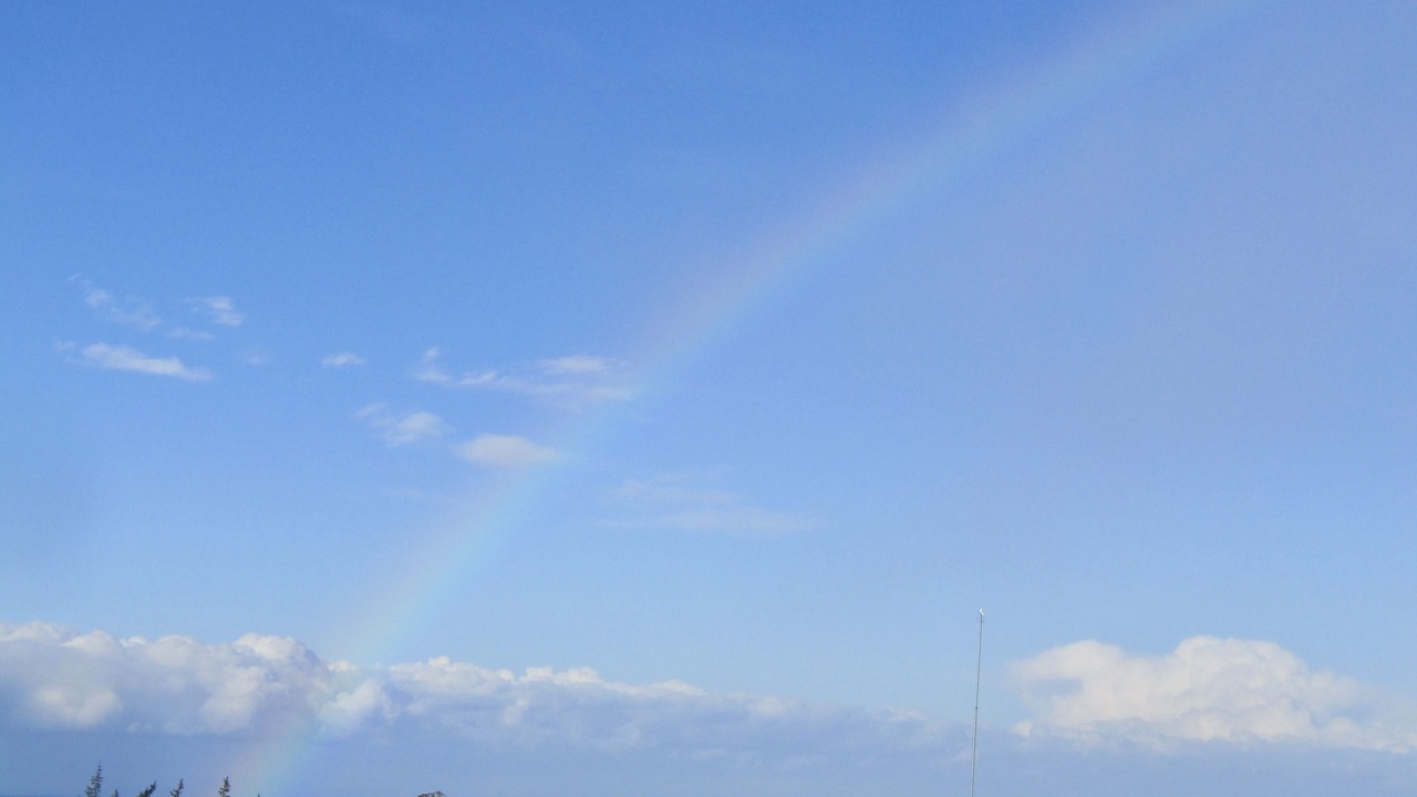 Photo of Others in Port Angeles