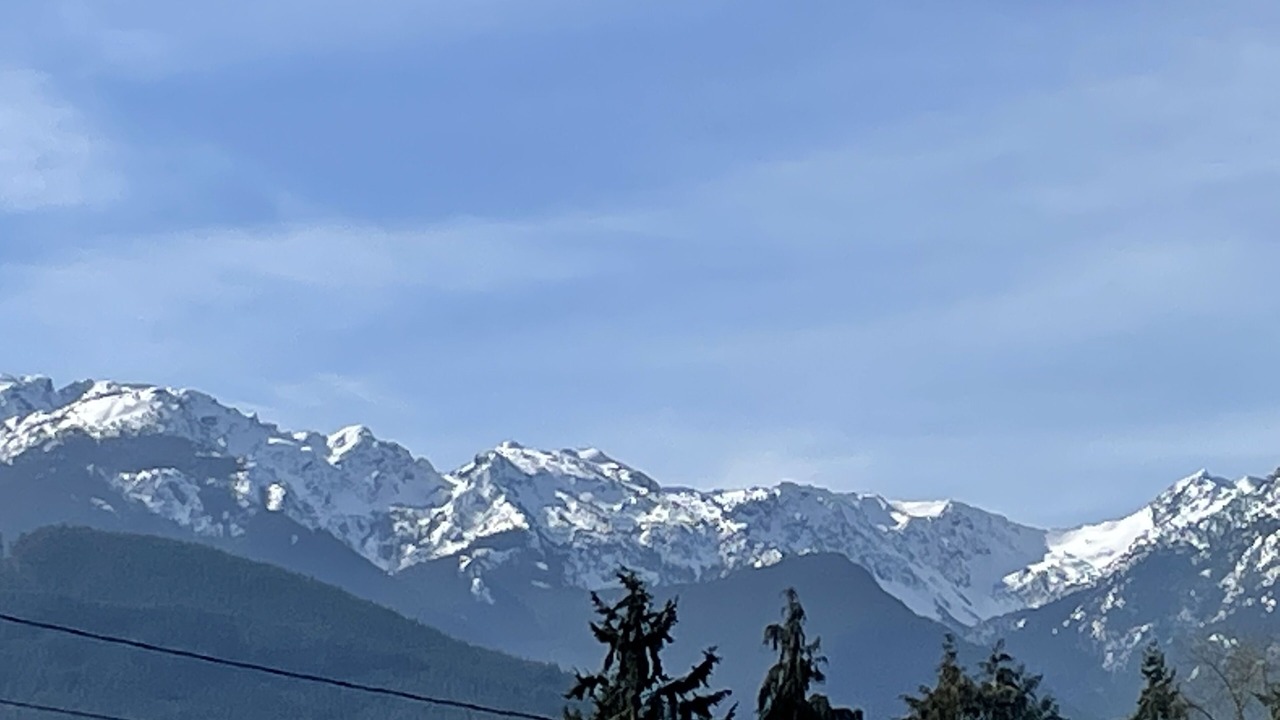 Photo of Others in Port Angeles