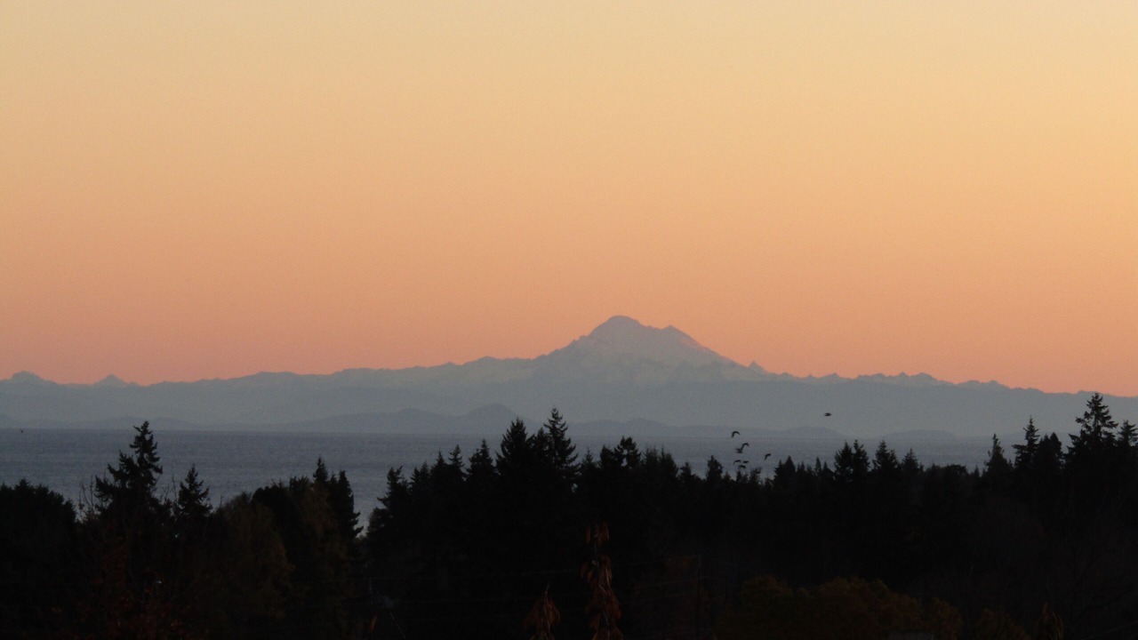 Photo of Others in Port Angeles