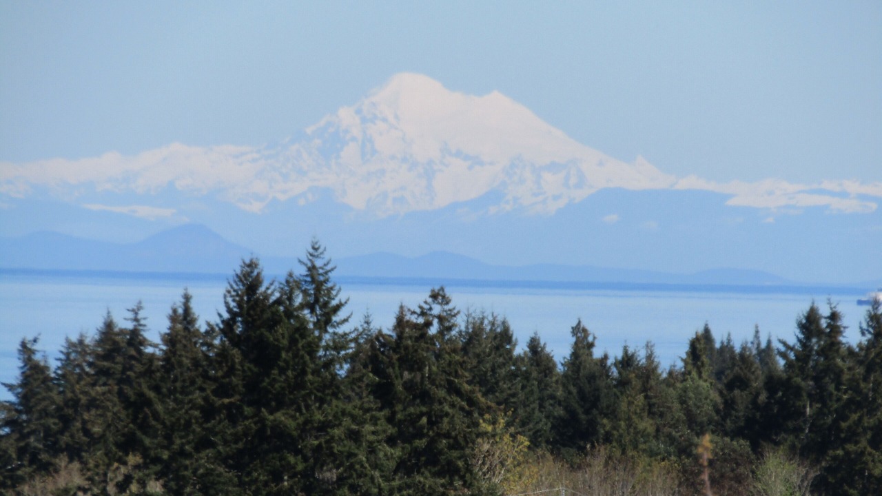 Photo of Others in Port Angeles