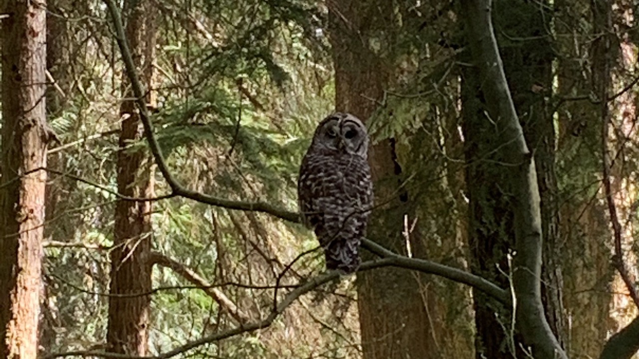 Photo of Others in Lake Forest Park