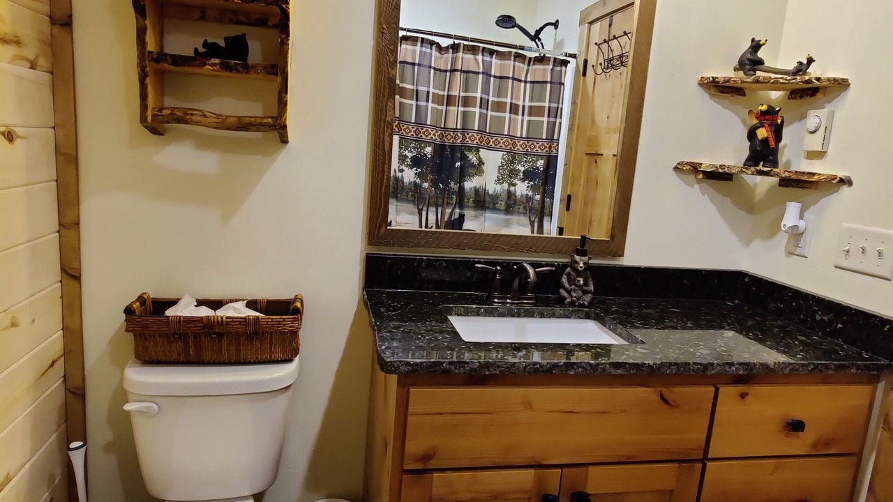 Photo of Bathroom in Island Park