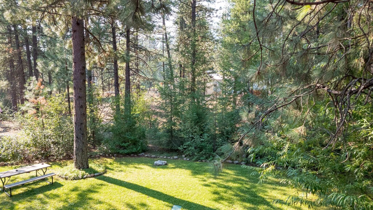 Photo of Outdoor in Mazama