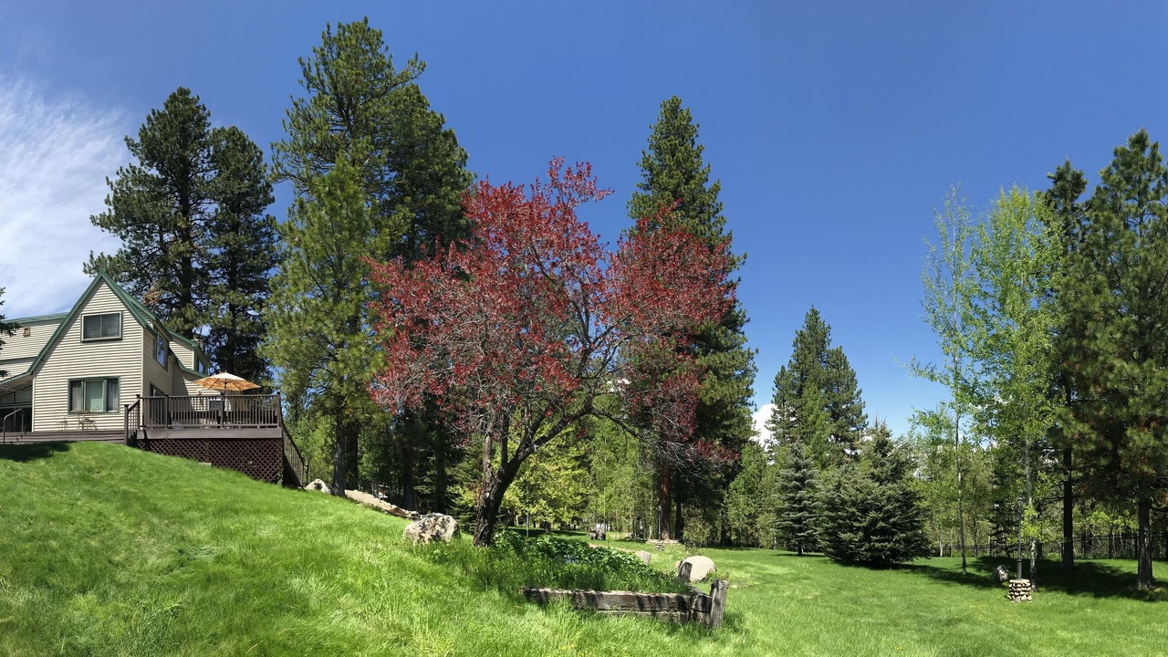 Photo of Others in McCall