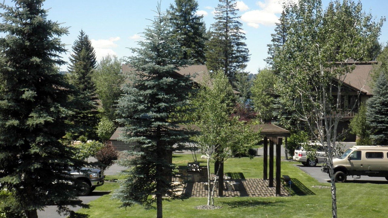 Photo of Others in McCall