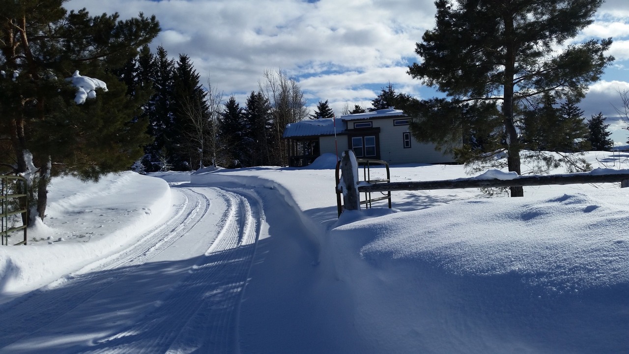 Photo of Outdoor in Driggs