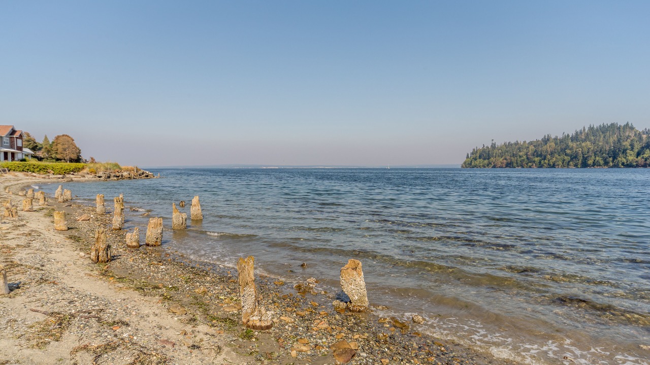 Photo of Others in Port Ludlow