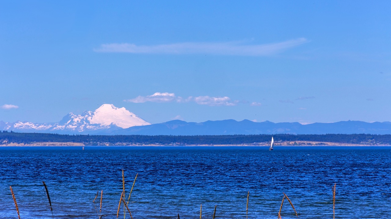 Photo of Others in Port Ludlow