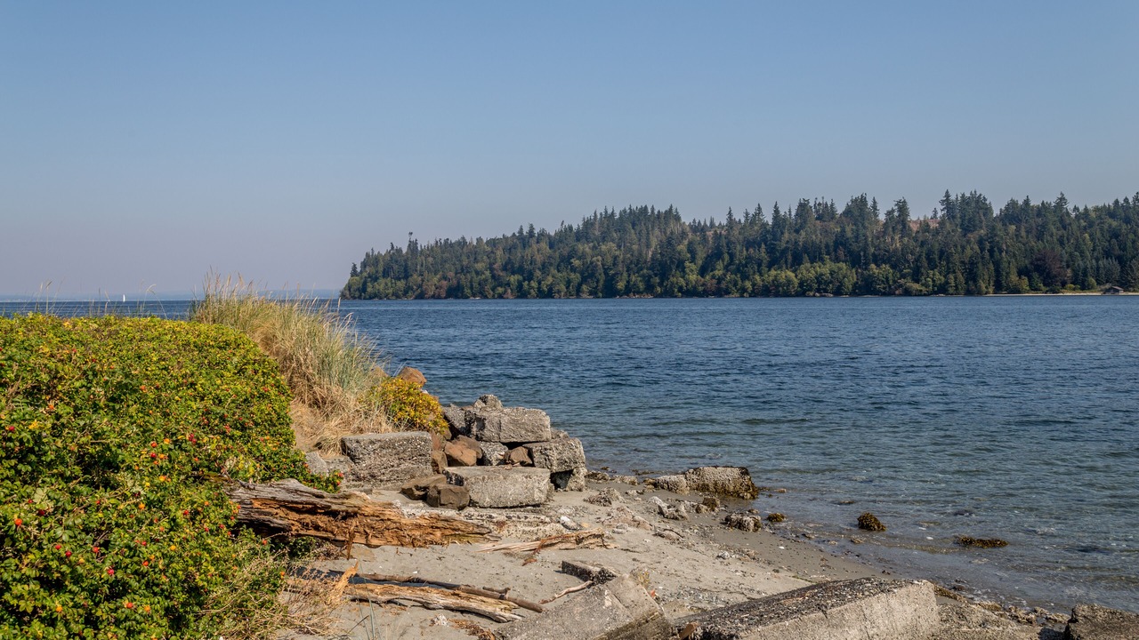 Photo of Others in Port Ludlow