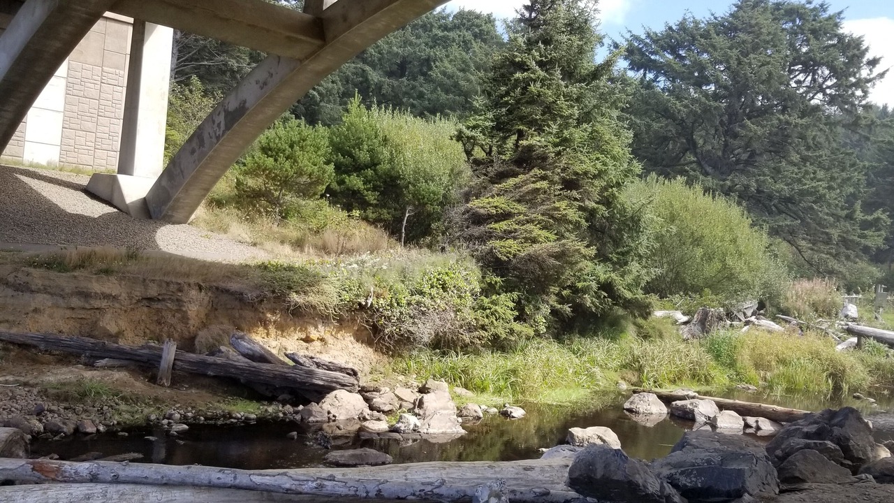 Photo of Others in Beverly Beach