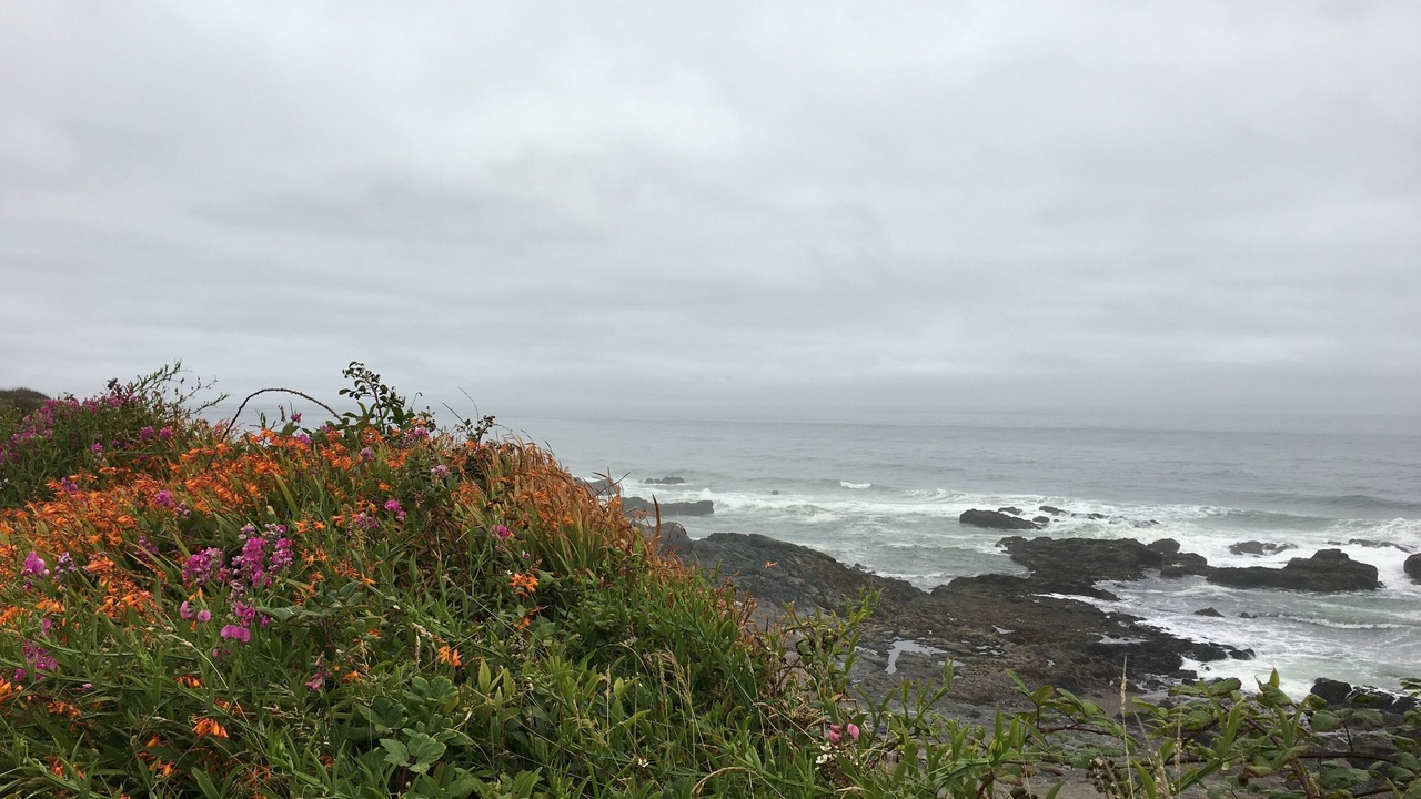 Photo of Others in Beverly Beach