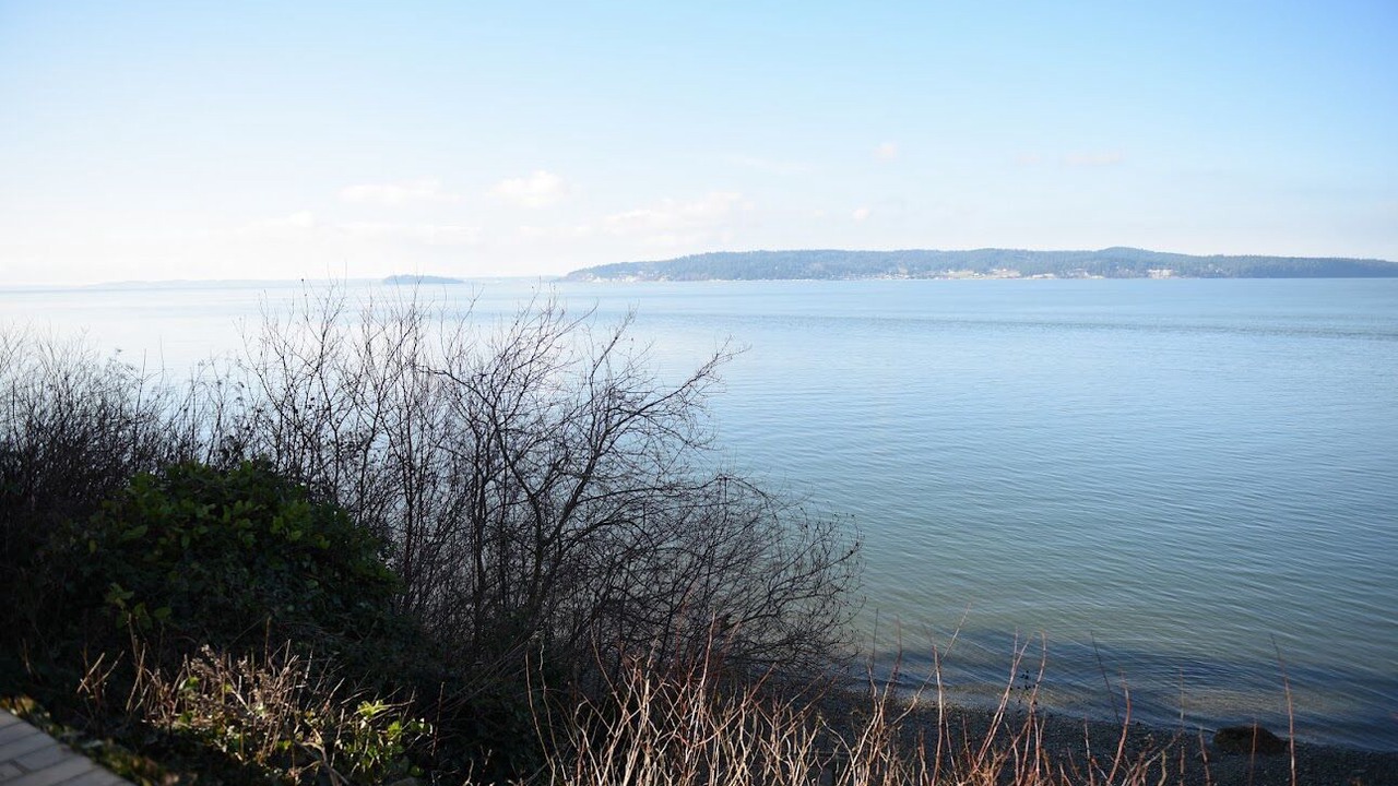 Photo of Others in Camano Island