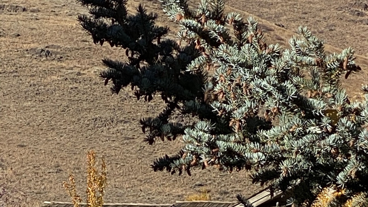 Photo of Others in Elkhorn Village