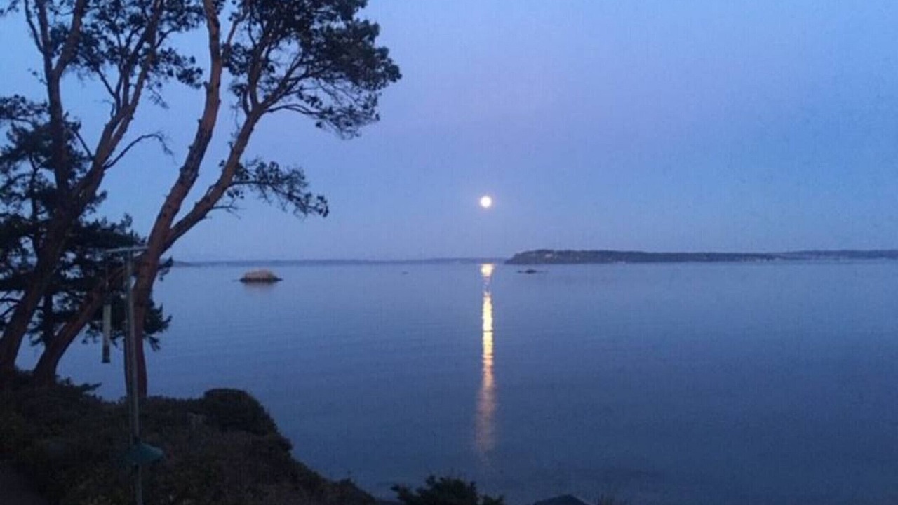 Photo of Others in Port Ludlow