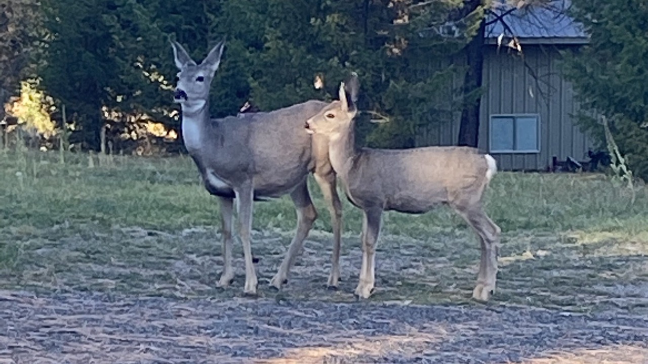 Photo of Others in Cascade