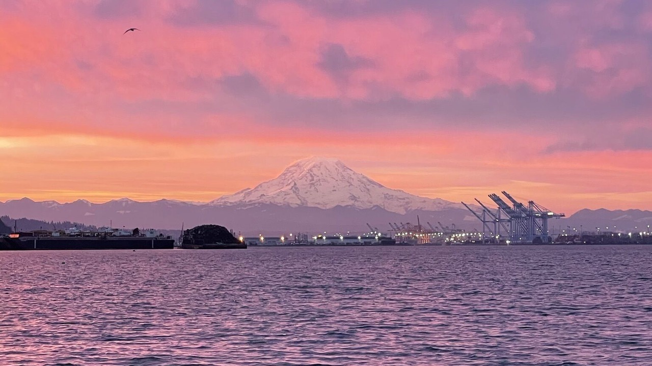 Photo of Others in Tacoma