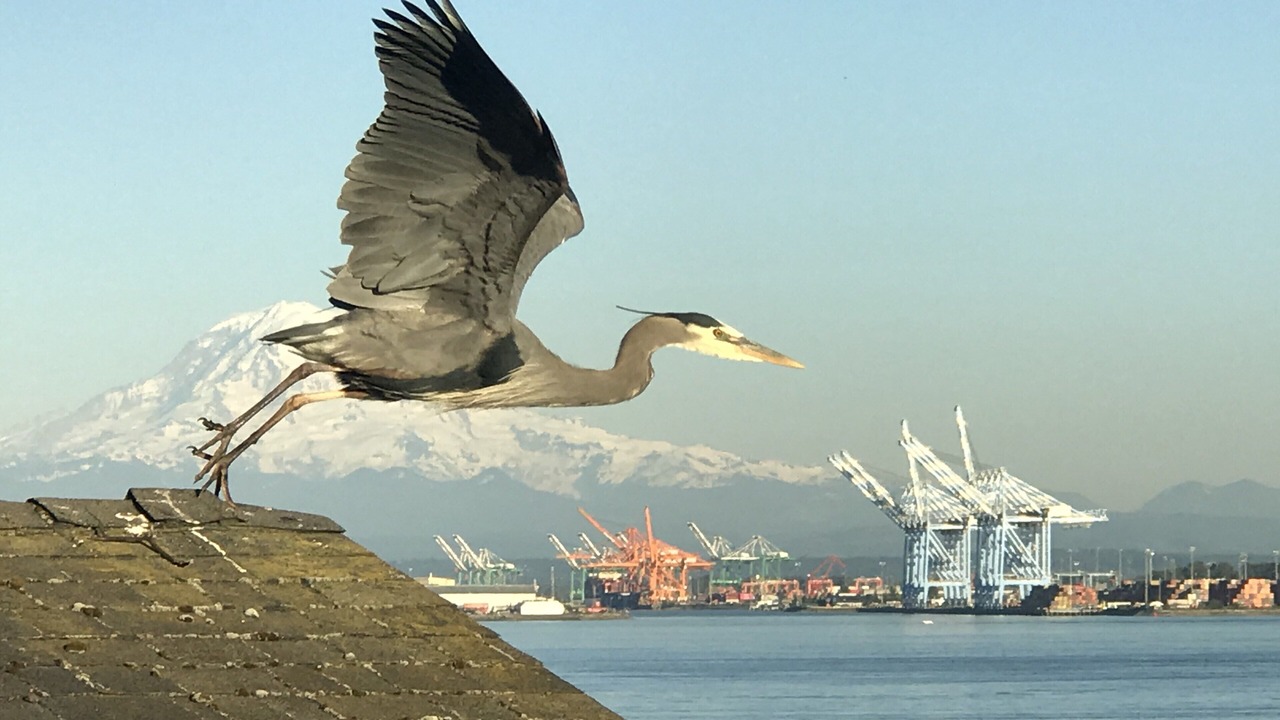 Photo of Outdoor in Tacoma