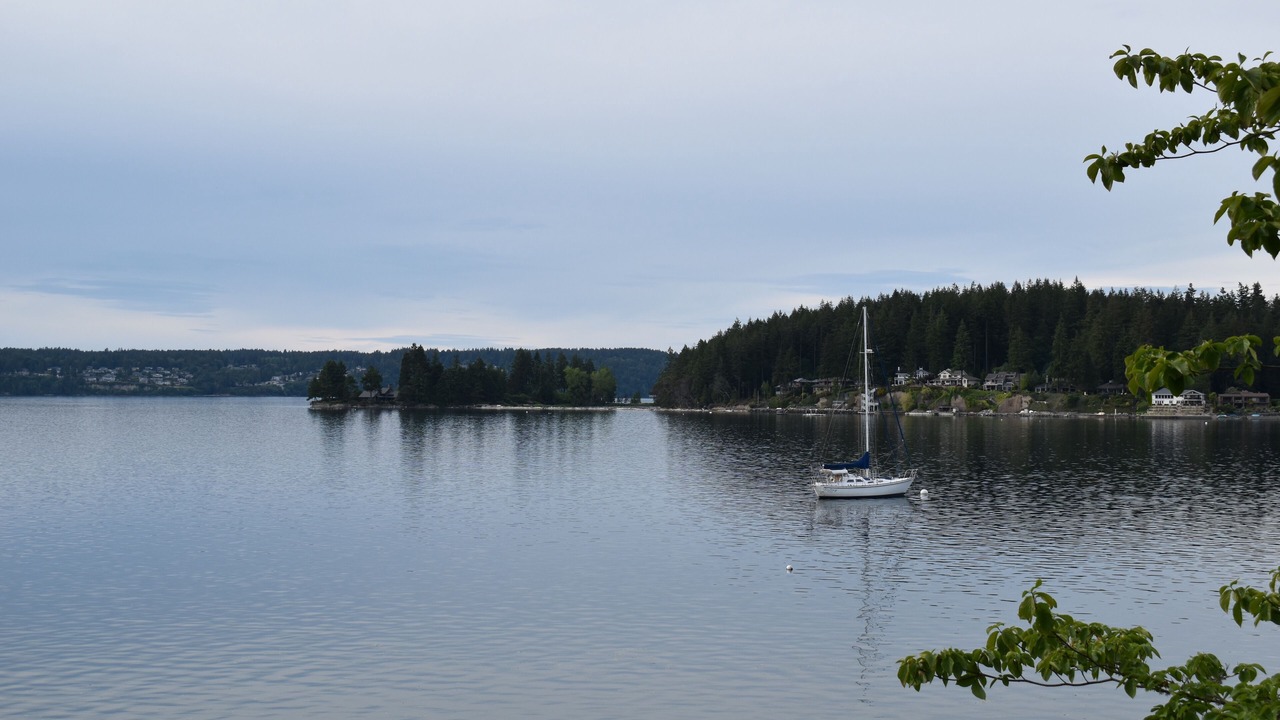 Photo of Others in Gig Harbor