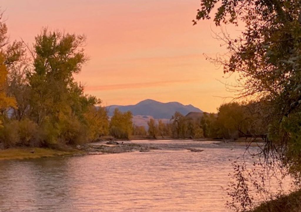 Photo of Others in Salmon