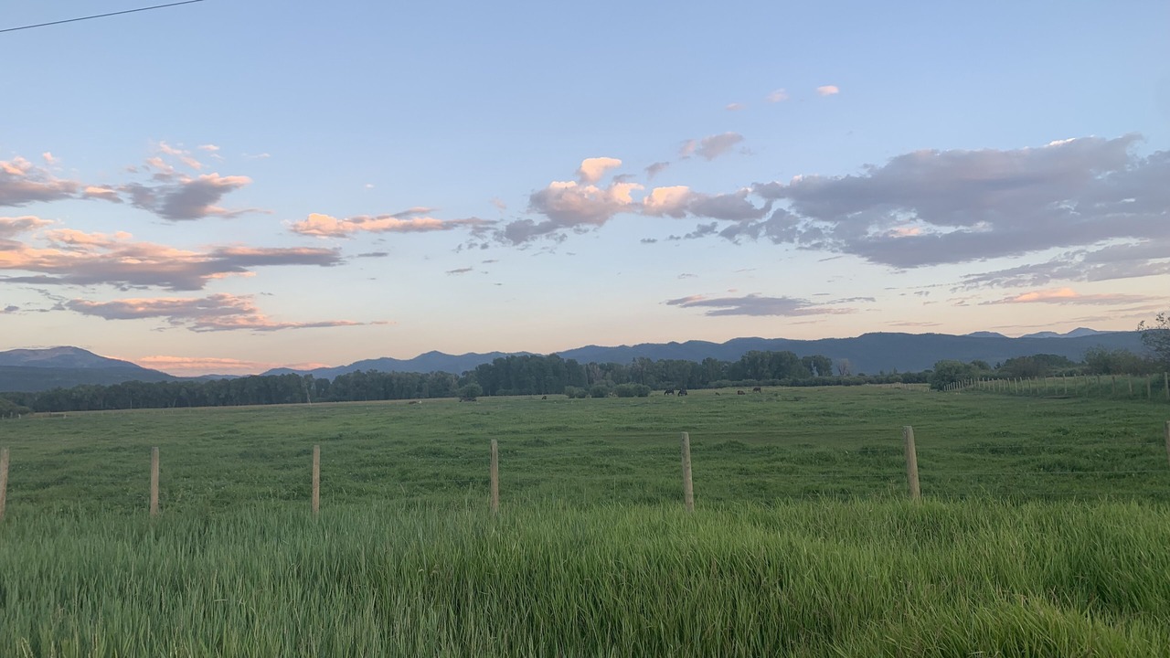 Photo of Outdoor in Victor