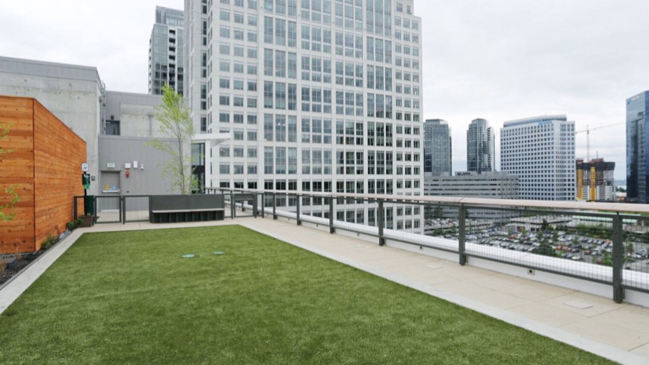 Photo of Outdoor in Northwest Bellevue