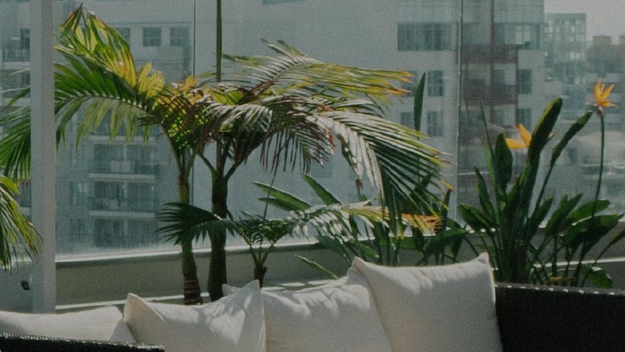 Photo of Outdoor in Northwest Bellevue