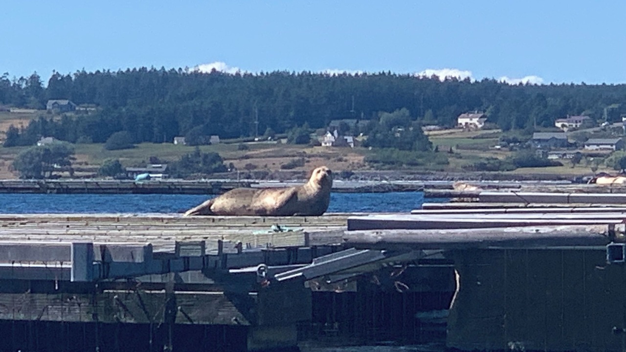 Photo of Others in Coupeville