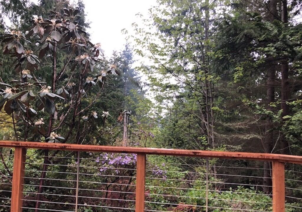 Photo of Others in Port Ludlow